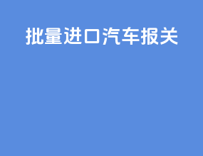 批量进口汽车报关