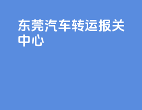 东莞汽车转运报关中心