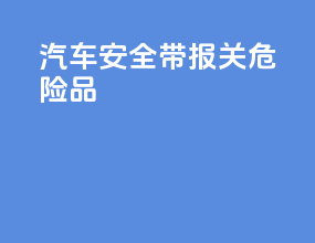 汽车安全带报关危险品