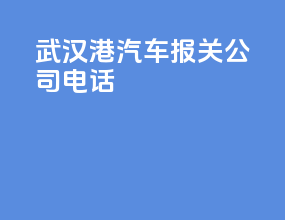 武汉港汽车报关公司电话