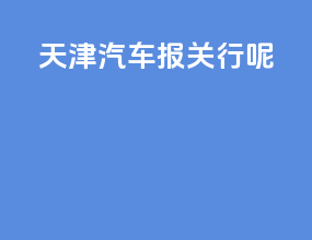 天津汽车报关行呢