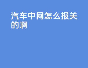 汽车中网怎么报关的啊