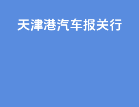 天津港汽车报关行