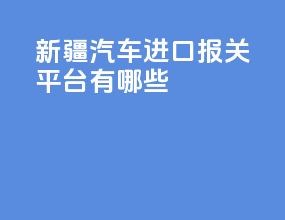 新疆汽车进口报关平台有哪些
