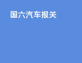 国六汽车报关