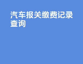 汽车报关缴费记录查询