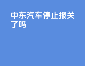 中东汽车停止报关了吗