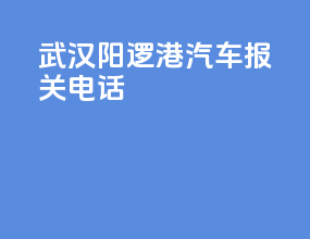 武汉阳逻港汽车报关电话