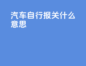 汽车自行报关什么意思