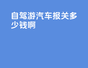 自驾游汽车报关多少钱啊