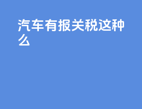 汽车有报关税这种么