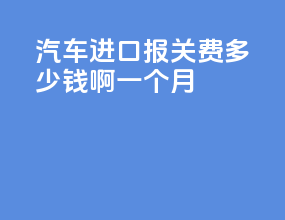 汽车进口报关费多少钱啊一个月