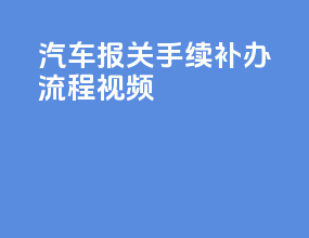 汽车报关手续补办流程视频