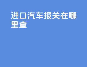 进口汽车报关在哪里查