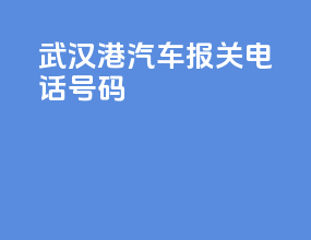 武汉港汽车报关电话号码