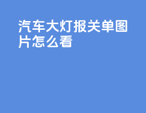 汽车大灯报关单图片怎么看