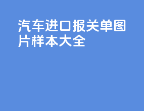 汽车进口报关单图片样本大全