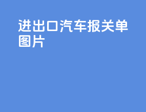 进出口汽车报关单图片