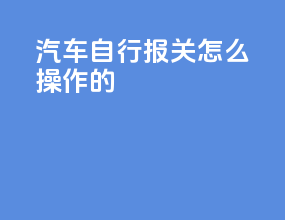 汽车自行报关怎么操作的