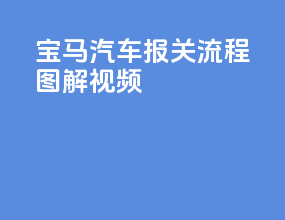 宝马汽车报关流程图解视频