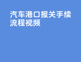 汽车港口报关手续流程视频