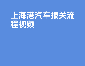 上海港汽车报关流程视频