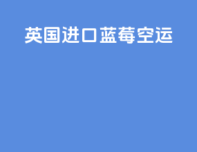 英国进口蓝莓空运