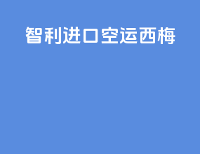 智利进口空运西梅