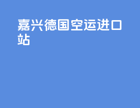 嘉兴德国空运进口站