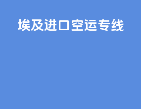 埃及进口空运专线