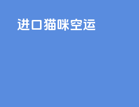 进口猫咪空运