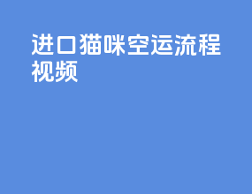 进口猫咪空运流程视频