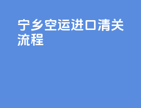 宁乡空运进口清关流程