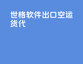 世格软件出口空运货代