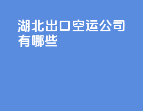 湖北出口空运公司有哪些