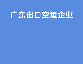 广东出口空运企业