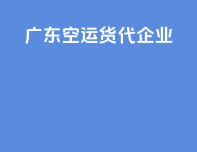 广东空运货代企业