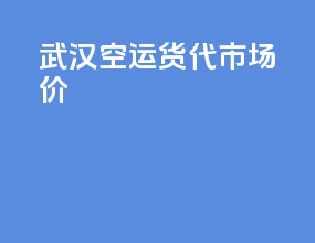 武汉空运货代市场价