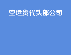 空运货代头部公司