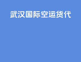 武汉国际空运货代