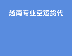 越南专业空运货代