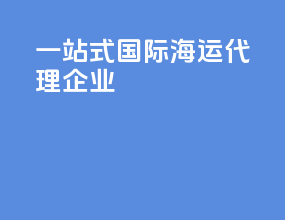 一站式国际海运代理企业