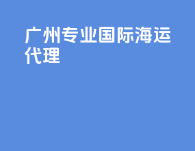 广州专业国际海运代理
