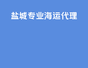 盐城专业海运代理