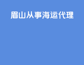 眉山从事海运代理