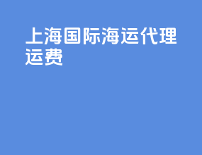 上海国际海运代理运费