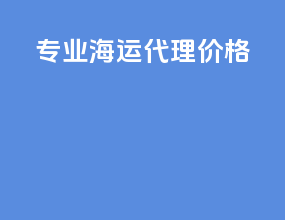 专业海运代理价格