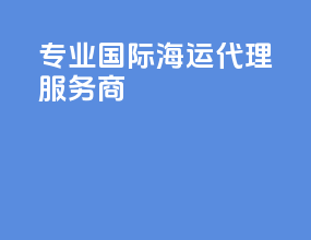 专业国际海运代理服务商