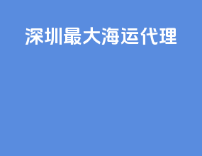 深圳最大海运代理