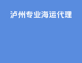 泸州专业海运代理